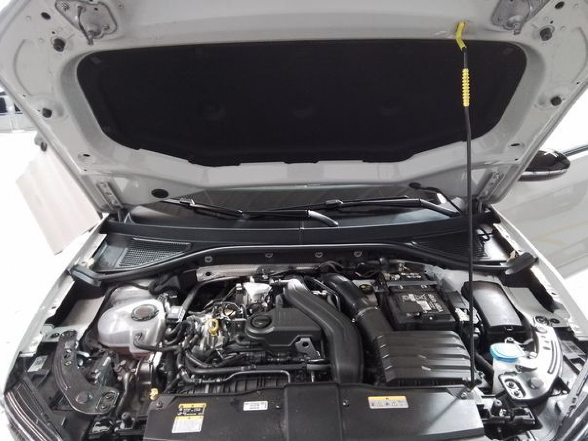 T-Roc Cabriolet 1.5TSI DSG R-Line +EDITION